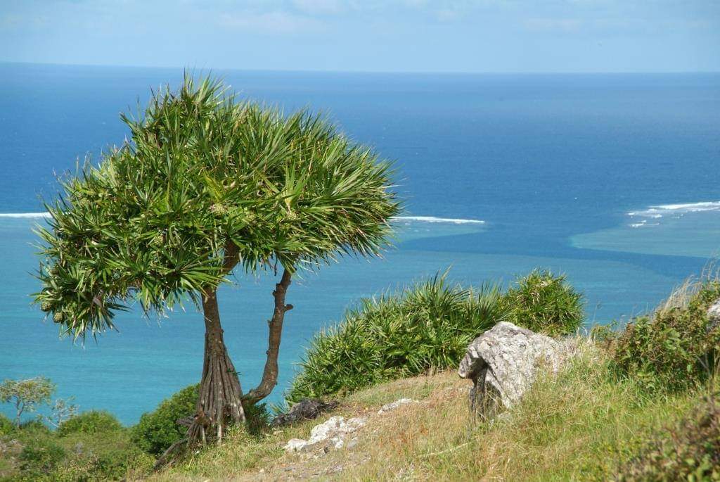 Ecoballade