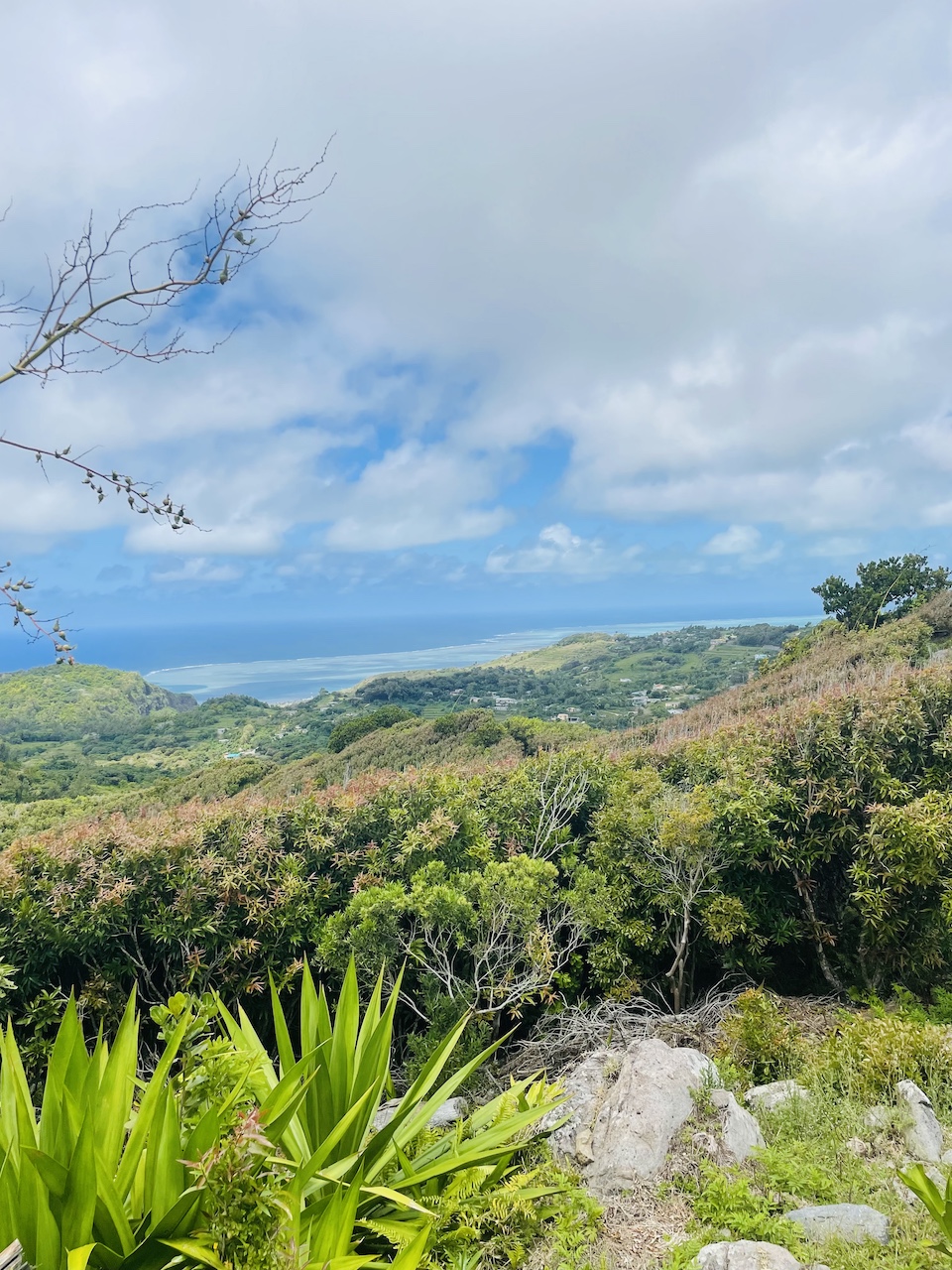 Mont Limon