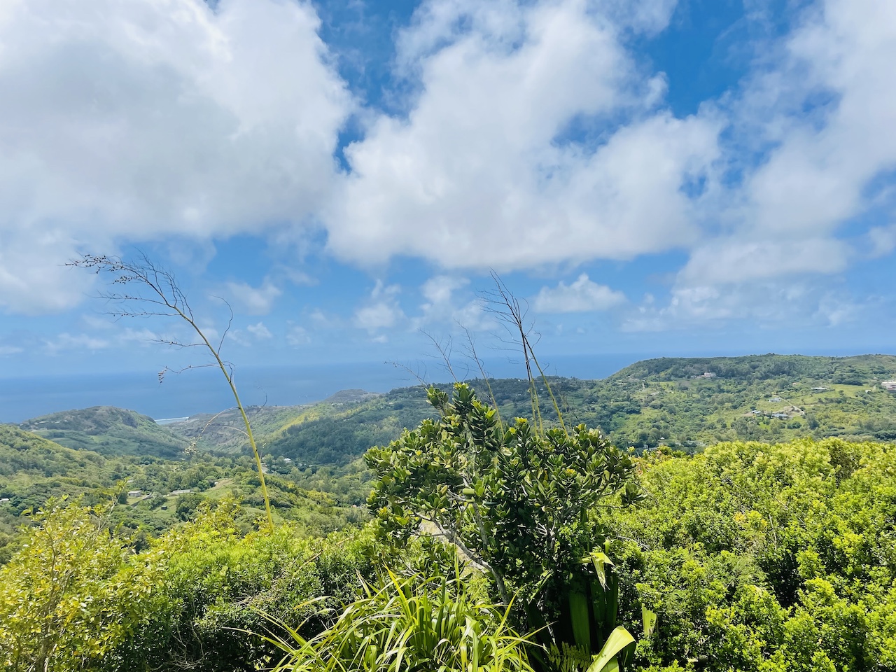 Mont Limon