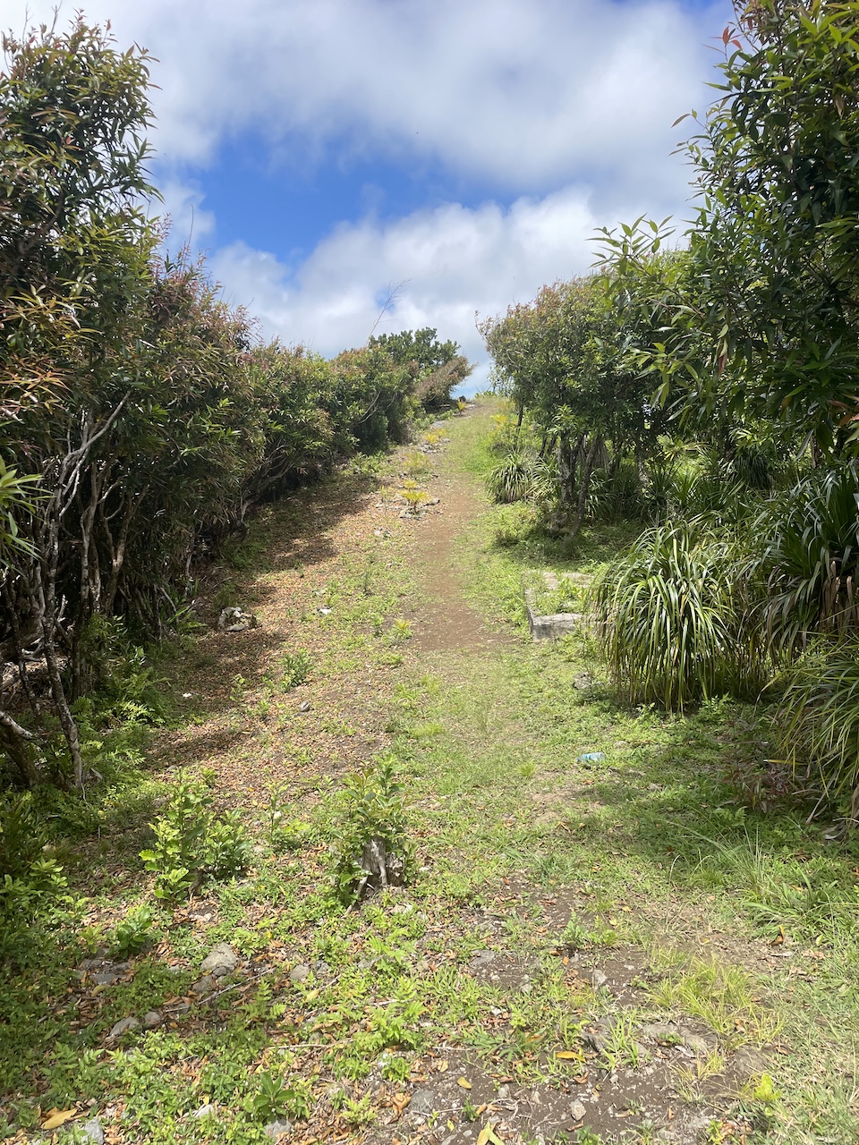 Mont Limon