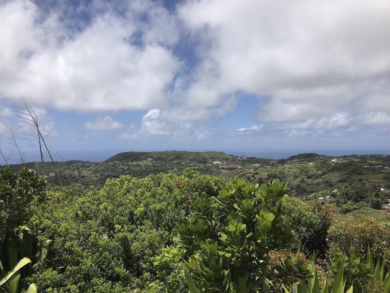 Mont Limon