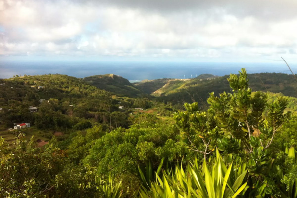 Mont Limon
