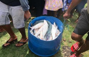 Poisson_3