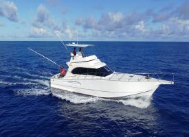 Big Game Fishing - Rod Fishing Club