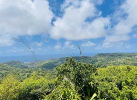 Mont Limon
